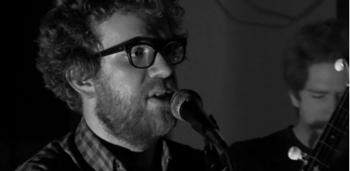 Megafaun